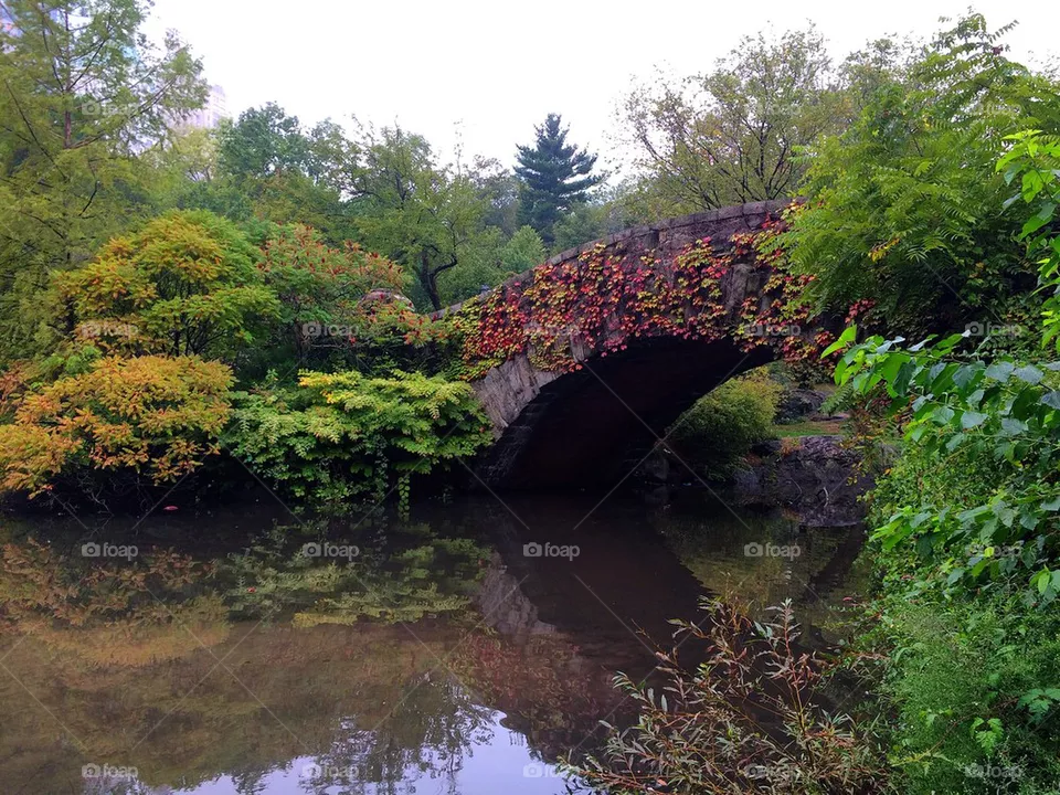 Bridged 