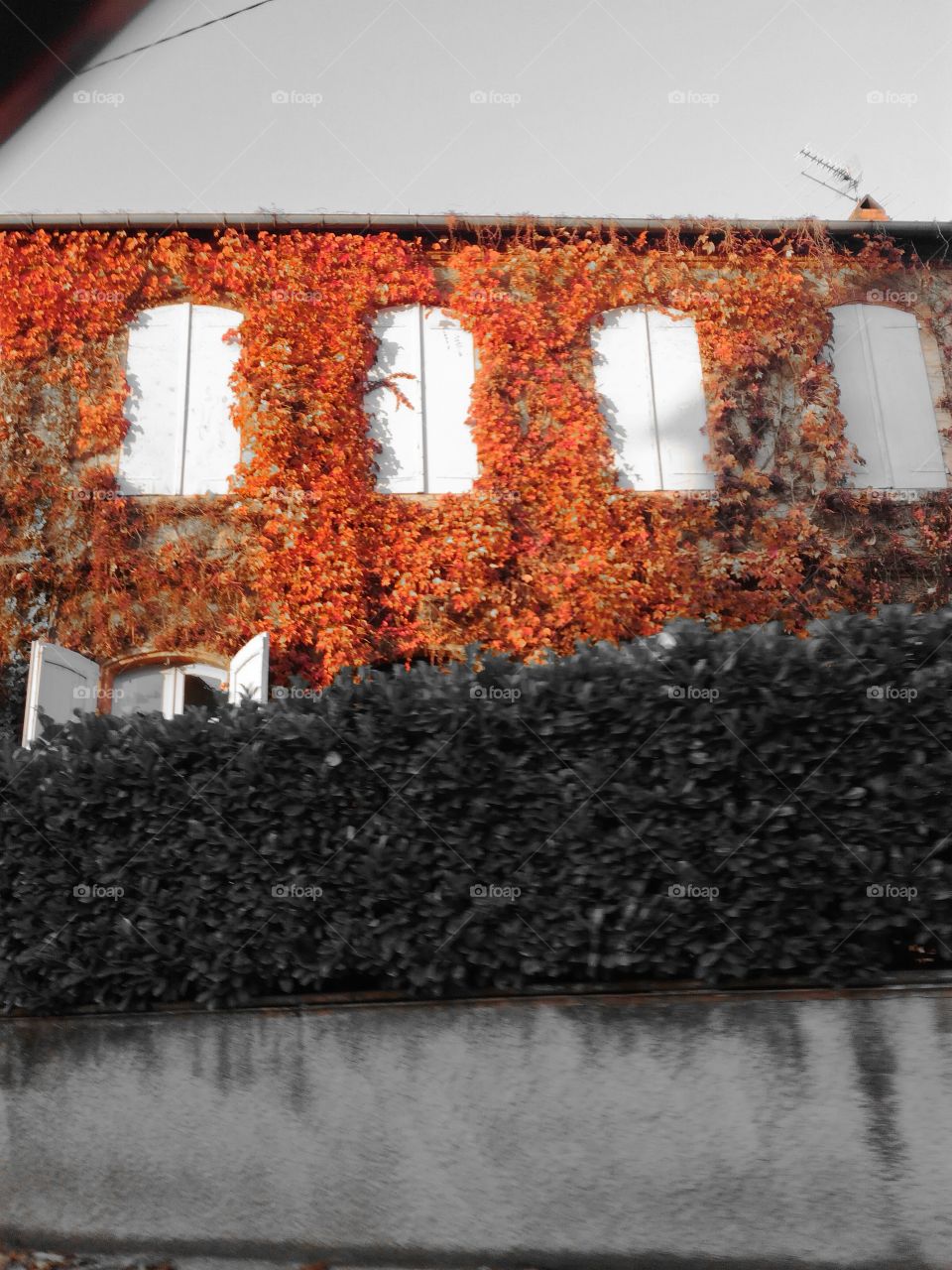 house, maison, couleur, color, automn