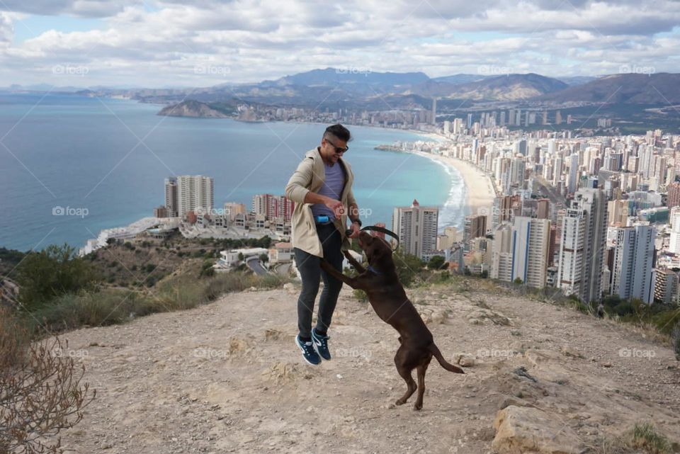 City#sea#view#human#dog