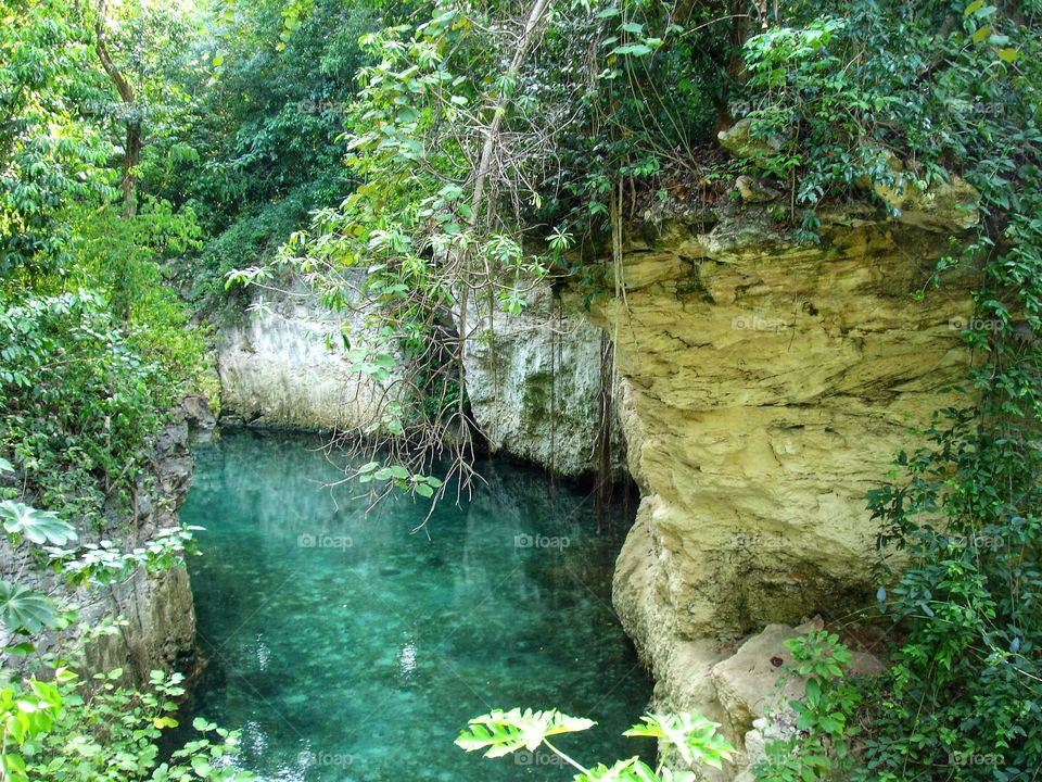 river in jungle, travelling