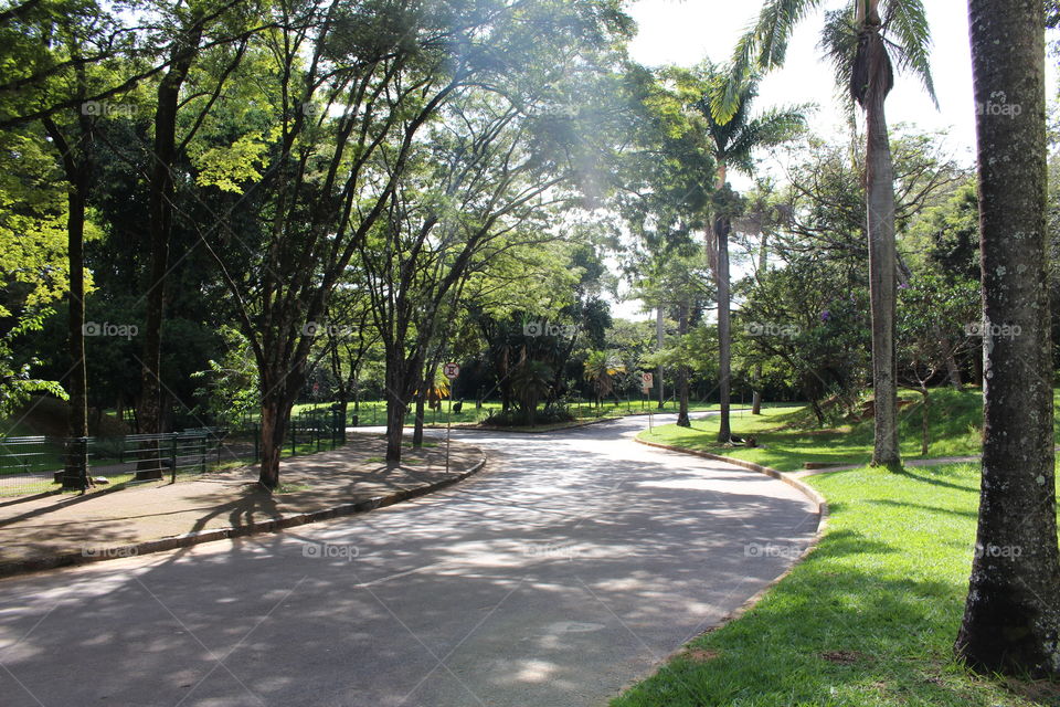 Beautiful view of a park in Brazil