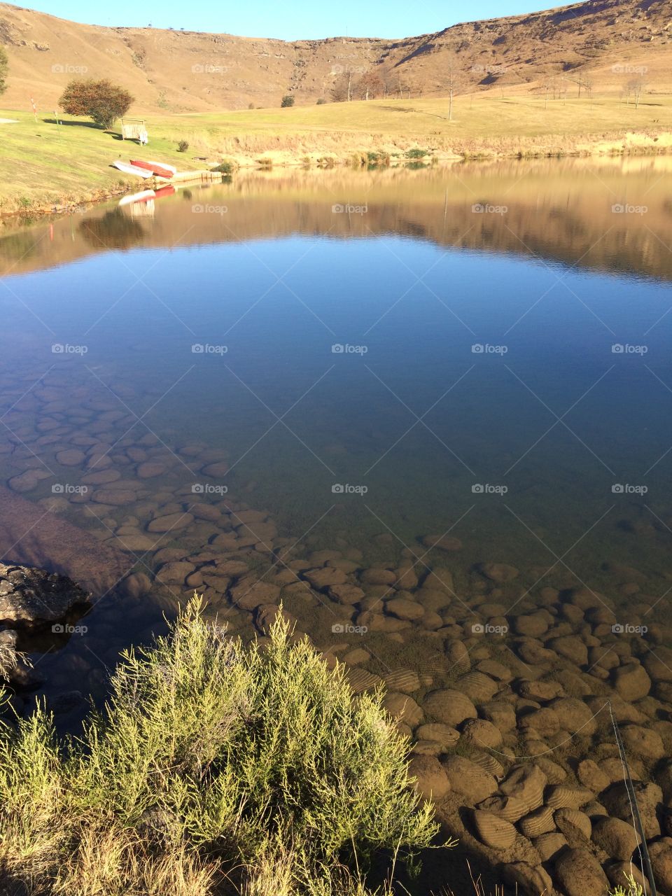 Trout pond. Drakensberg  trout dam