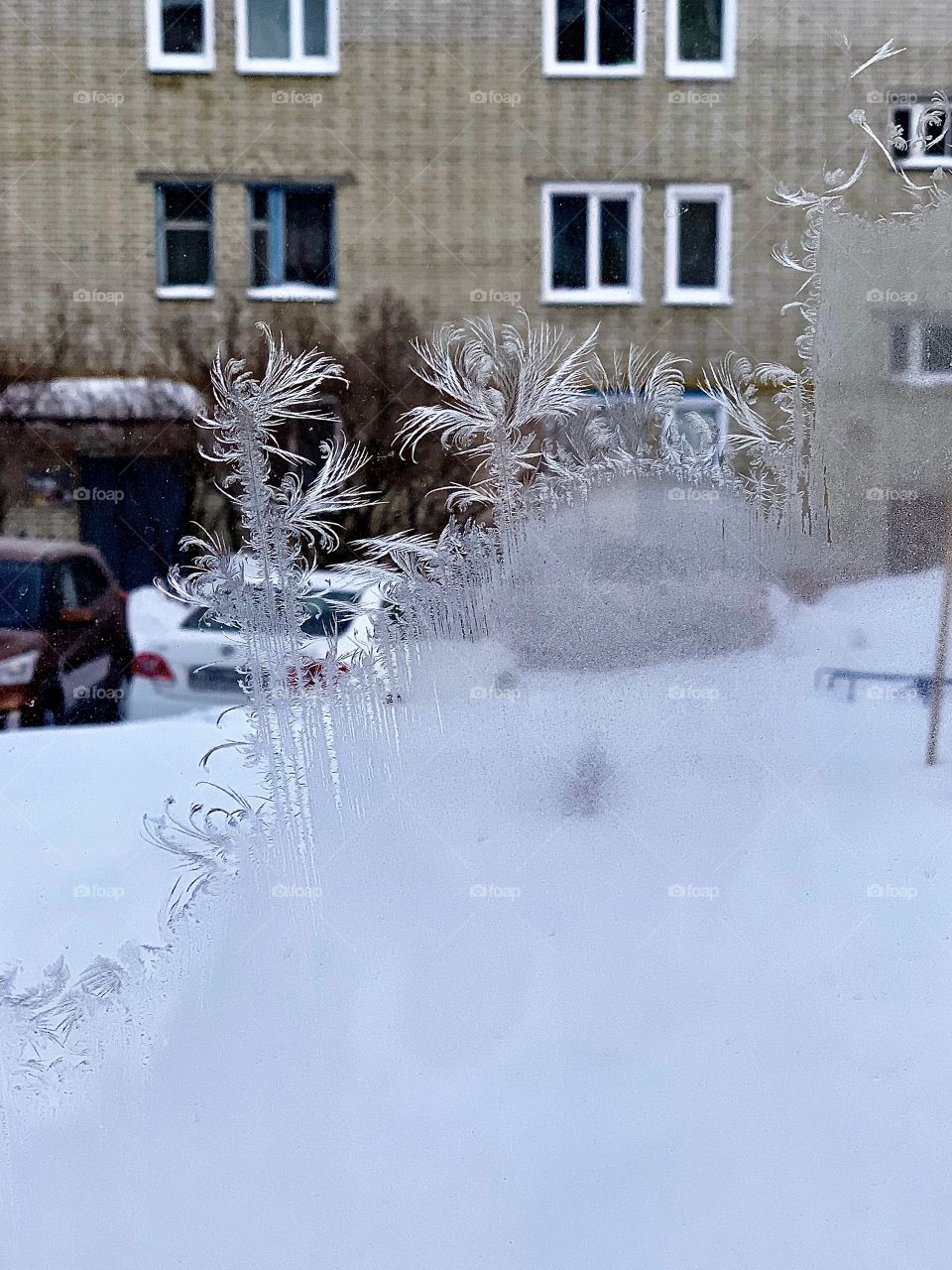 frosty patterns on glass