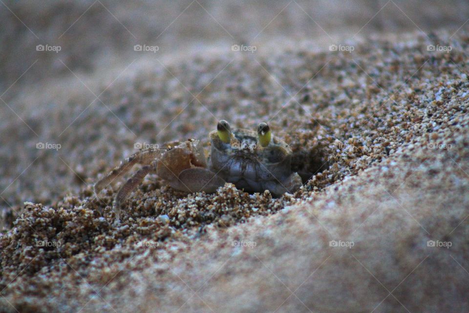 Beach, Sand, Sea, Seashore, Ocean