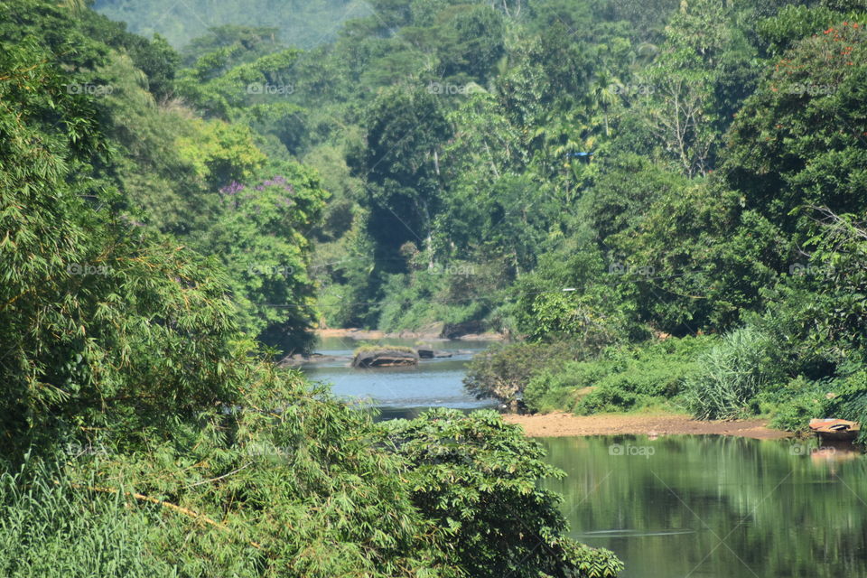 This is the paradise for rafters# forest by the side