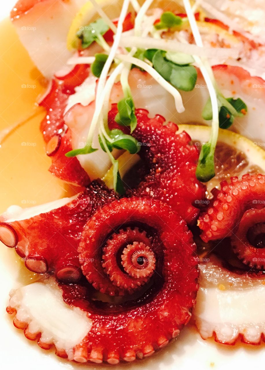 Close-up of delicious octopus salad