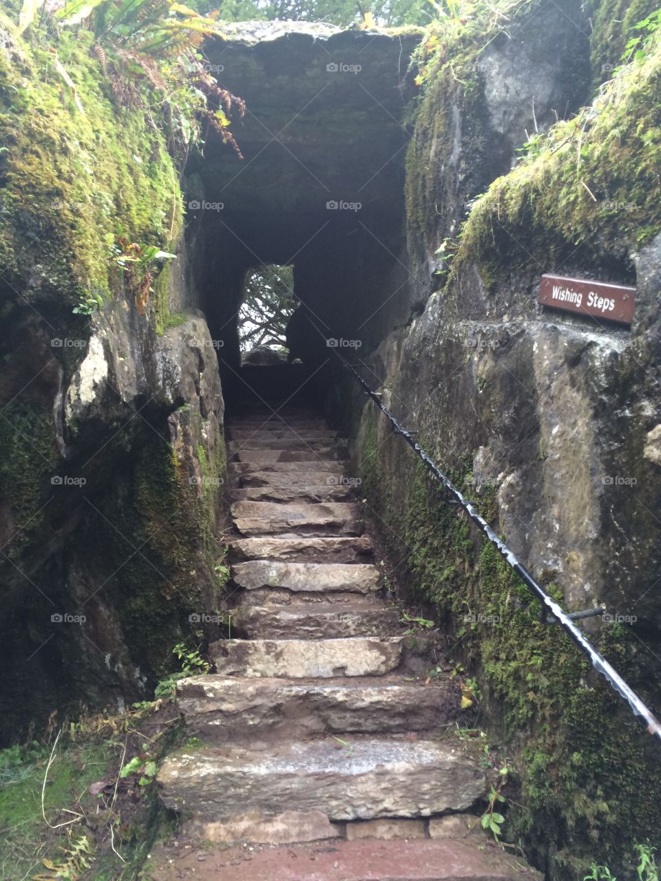 Wishing steps. Blarney castle