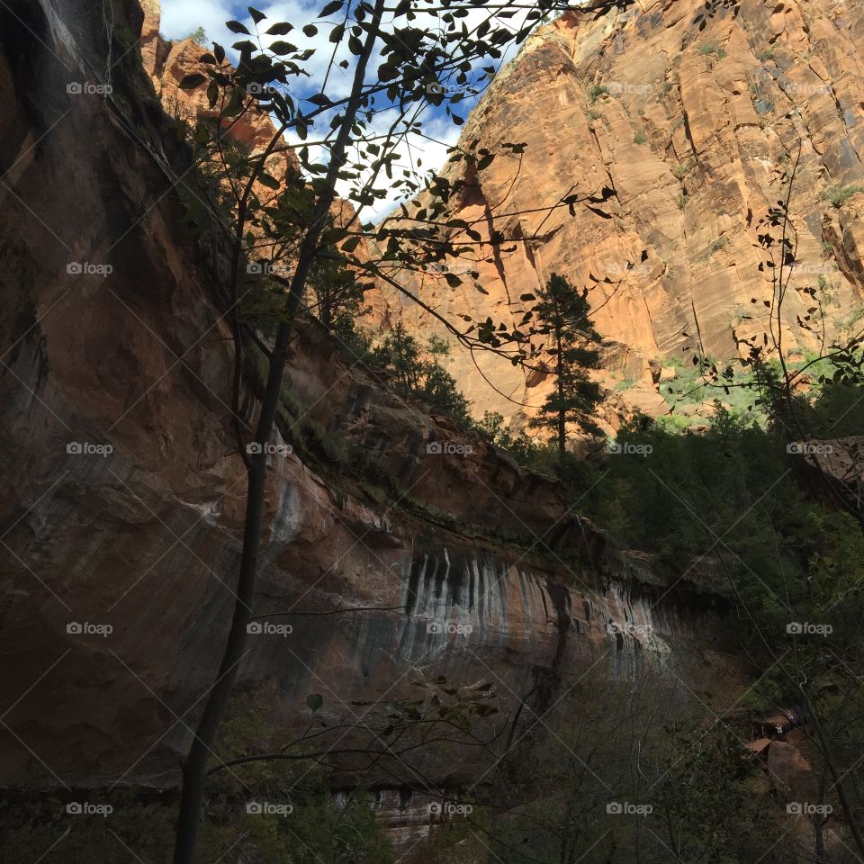 Zion National Park