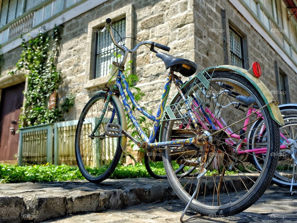 Summer Ride
Joy Ride