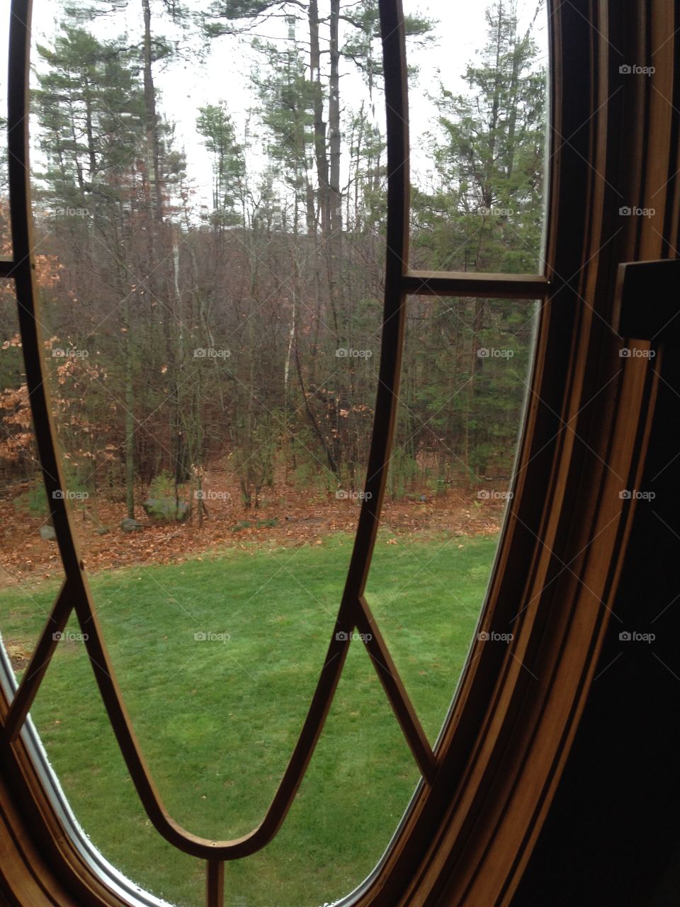 My view of the world