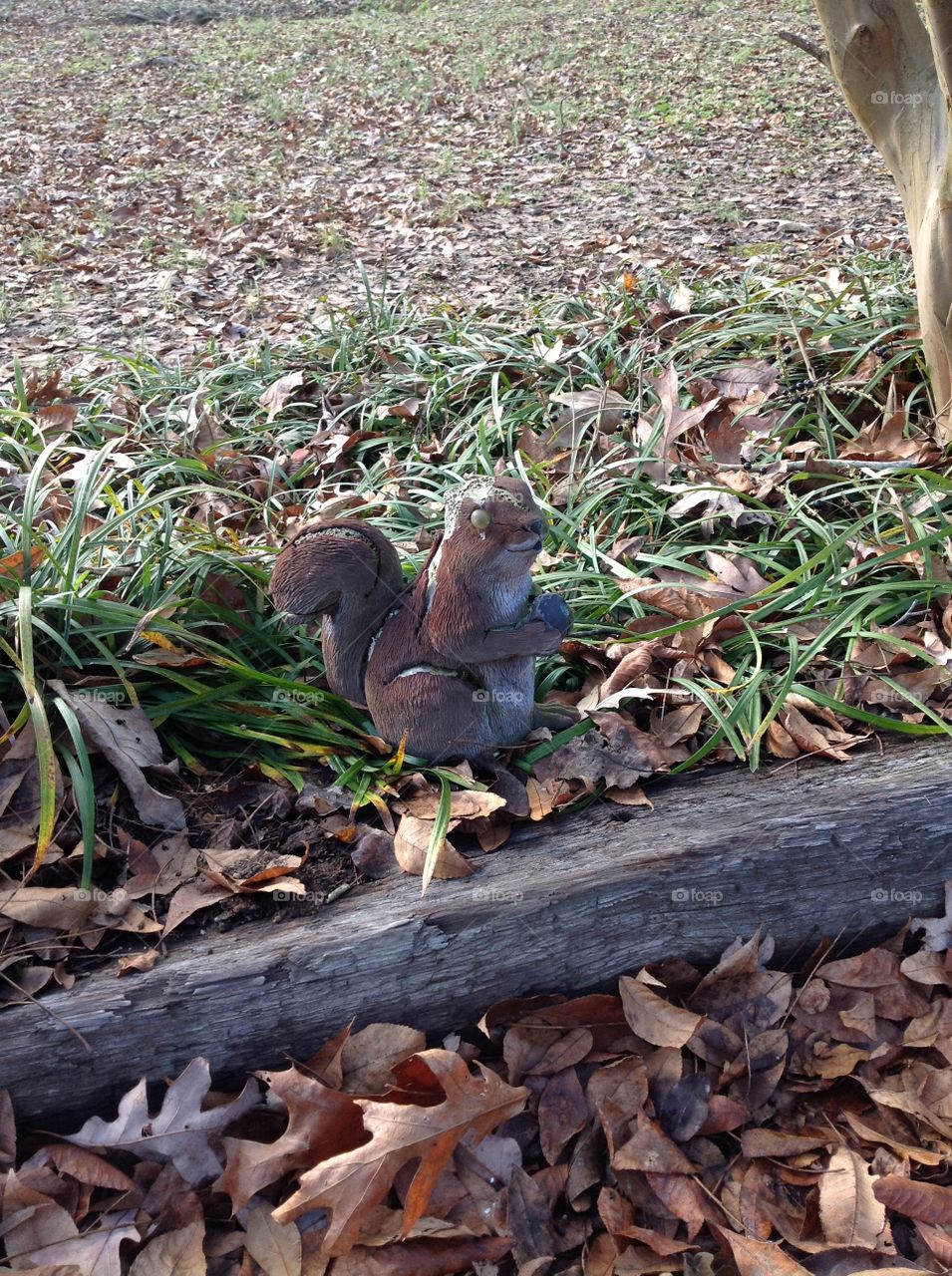Squirrel Statue in the Yard