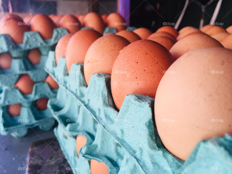 Eggs photo 