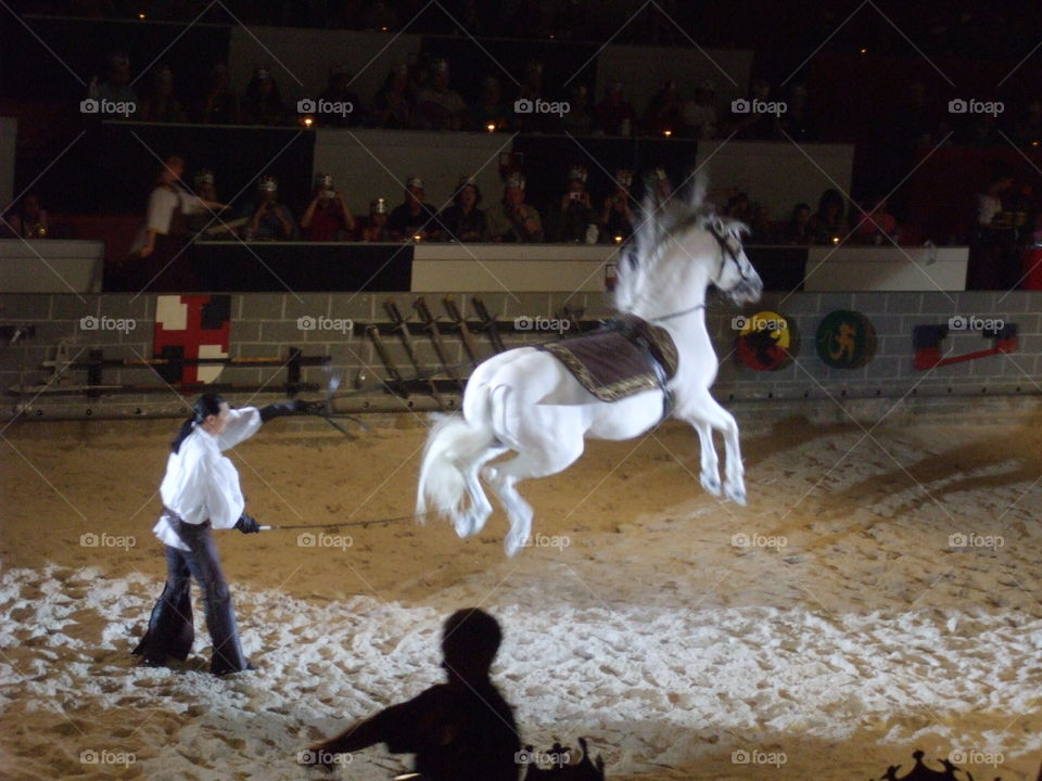 Defying Gravity . Medieval Times Magic... a horse jump. 