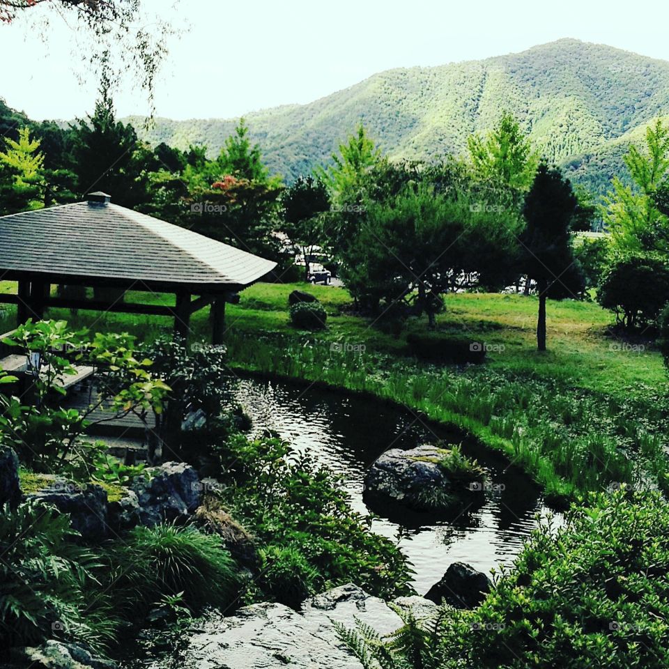 Jardim japonês!