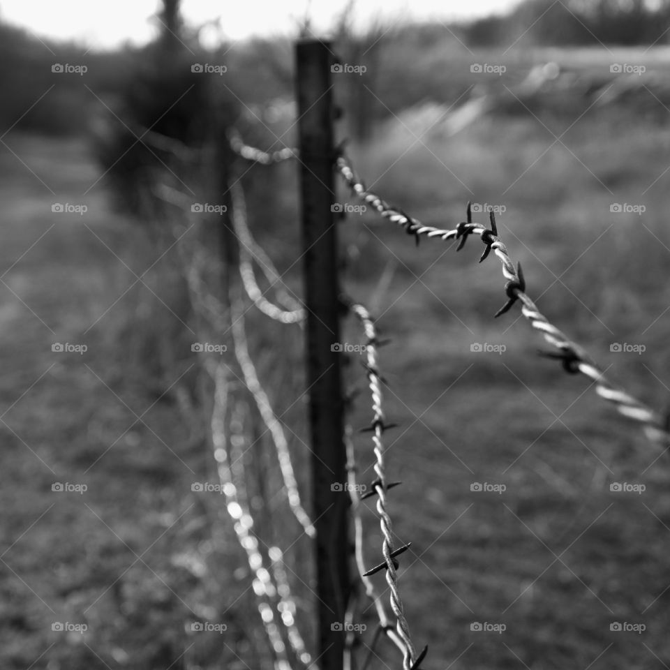 Fences 