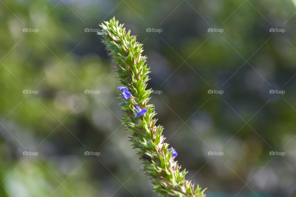 Beautiful signs of spring