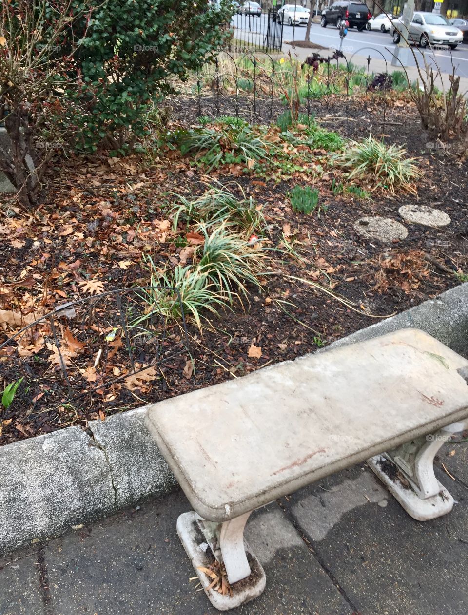 Bench in DuPont Circle