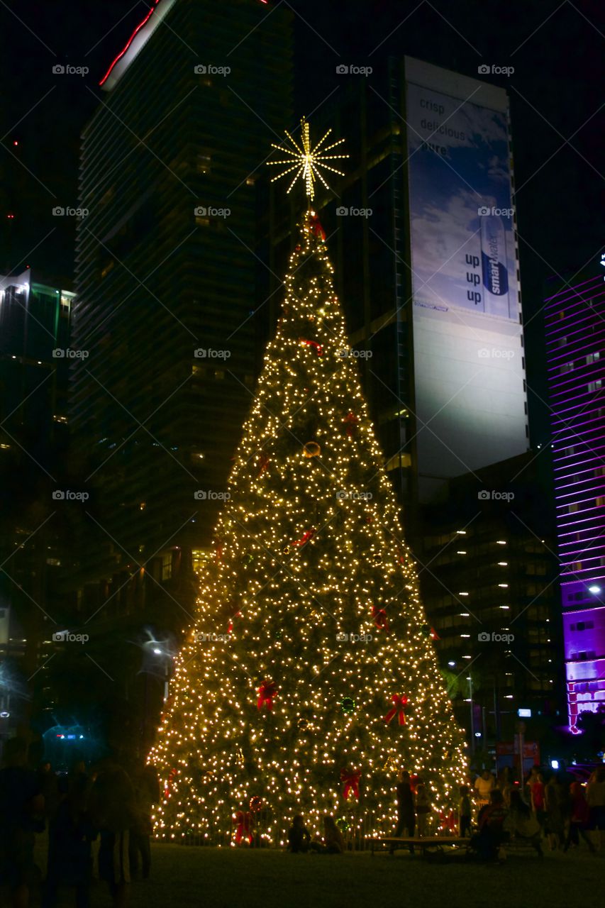 Miami Christmas Tree 