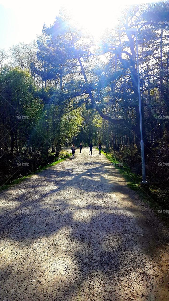 Going for a walk