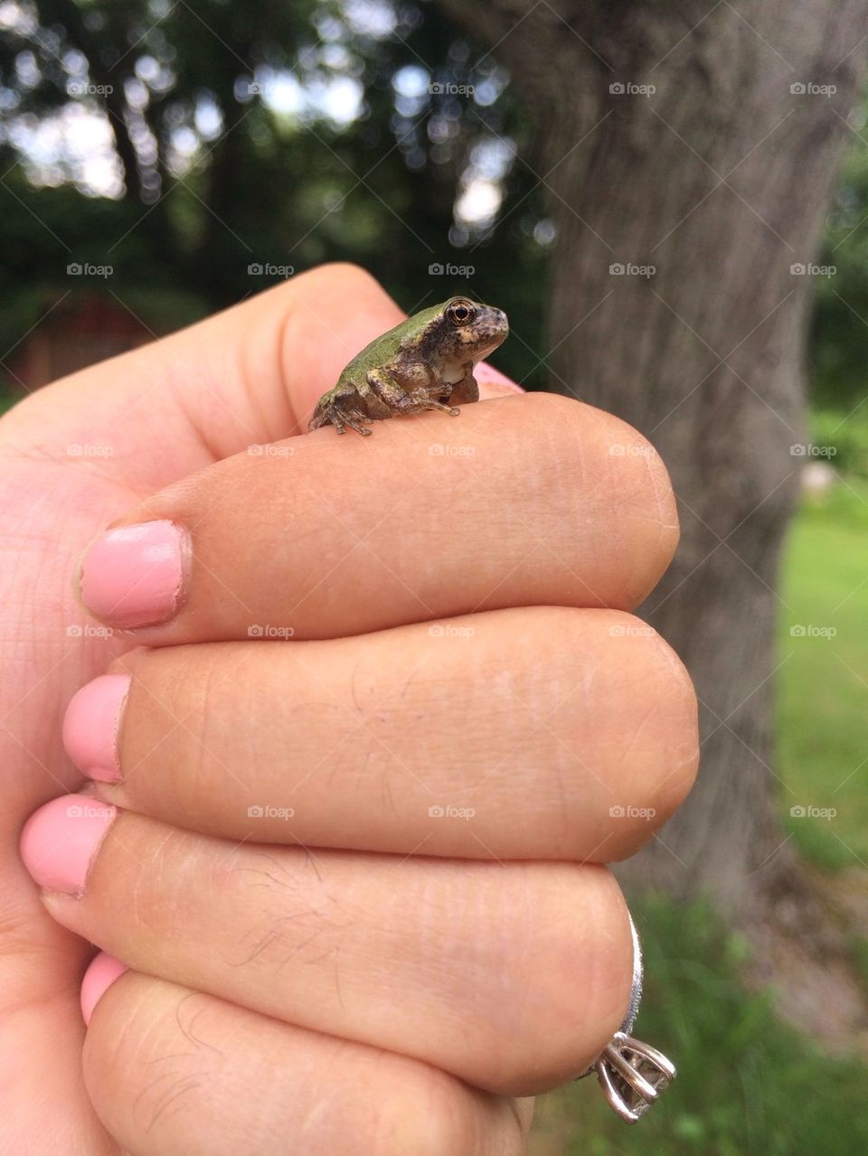 Little Guy 