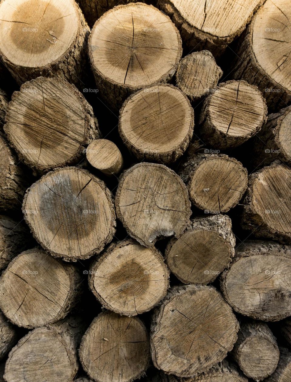 Logs