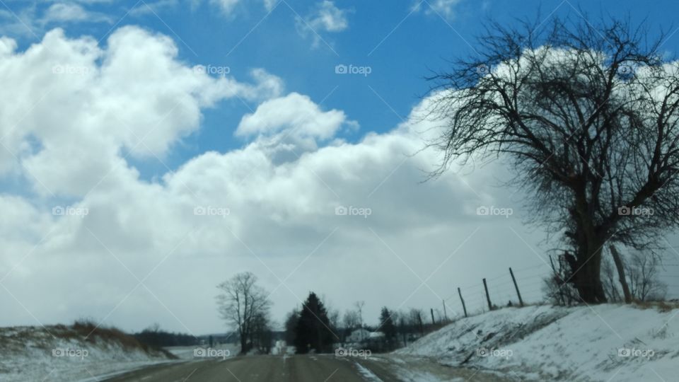 Winter, Snow, Tree, Landscape, Cold