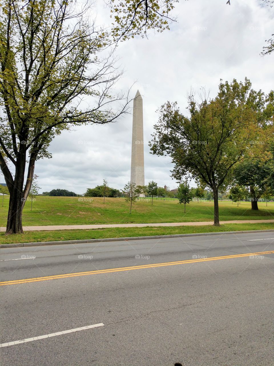 Washington monument between two trees