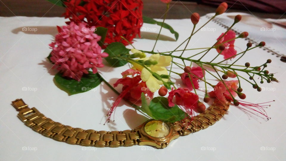 No Person, Flower, Leaf, Celebration, Rose