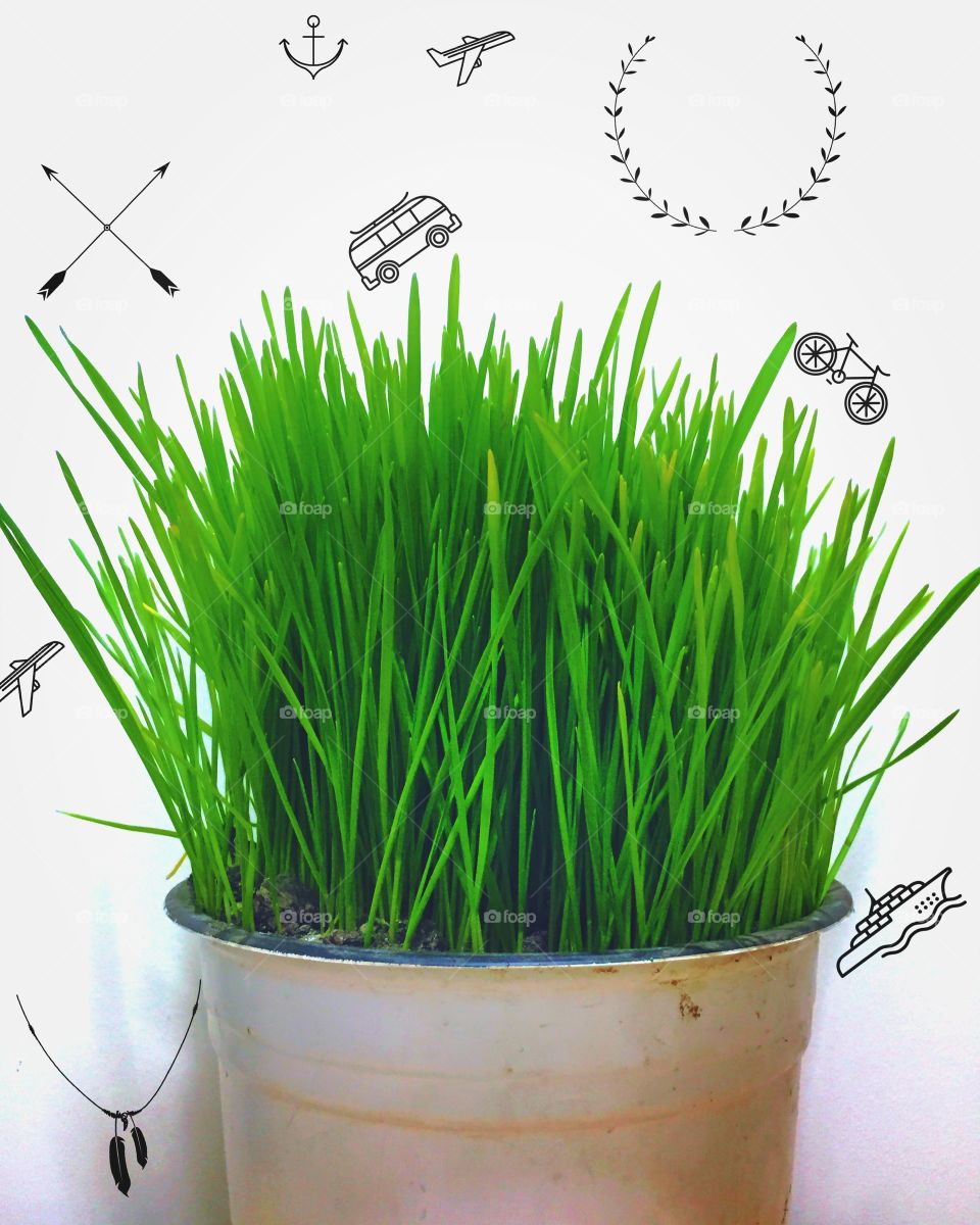 power of green color✅