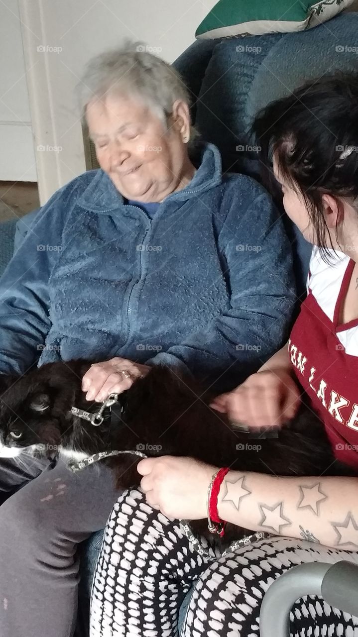 pets with elderly