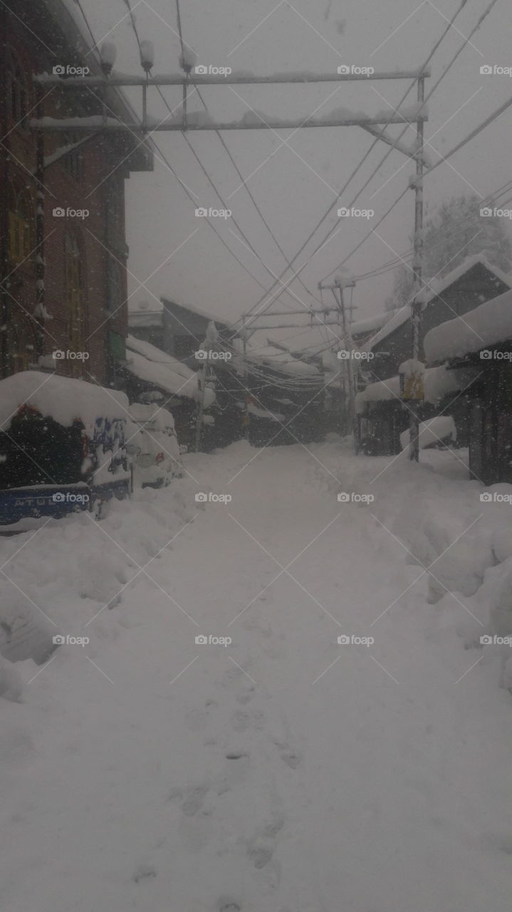 Winter Pics of Kashmir