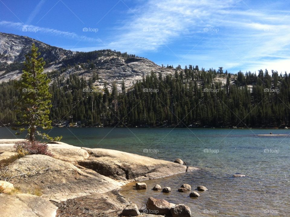 Tenaya Lake Yosemite