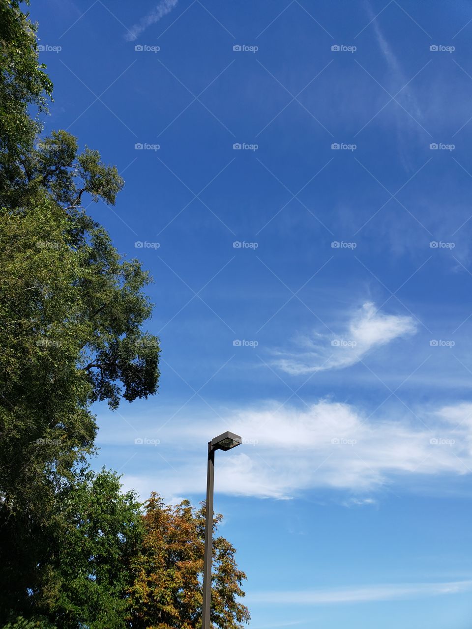 sky with clouds tree and lamp post