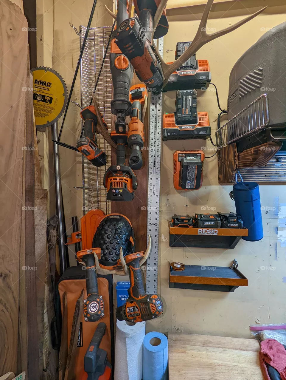 Rigid collection