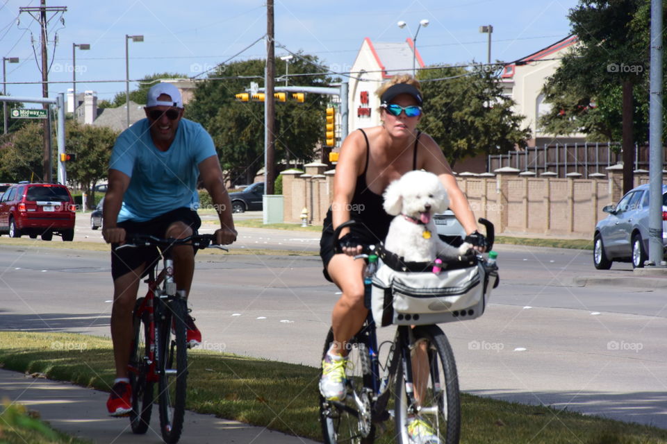 Dogs must ride too. Morning family ride