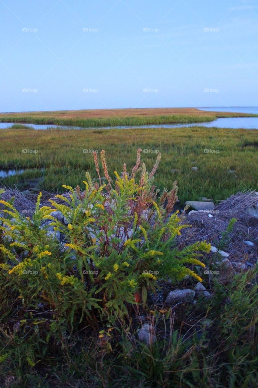 Sunset over the Point