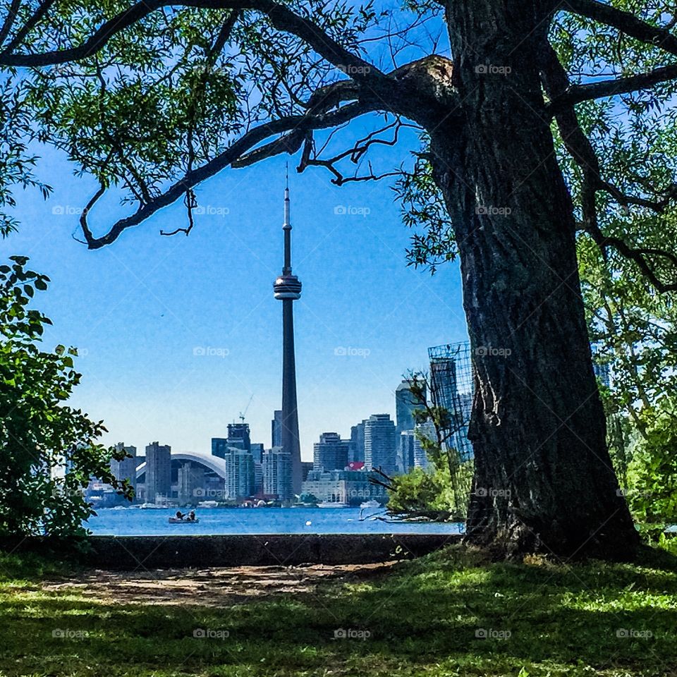 CN tower from island 