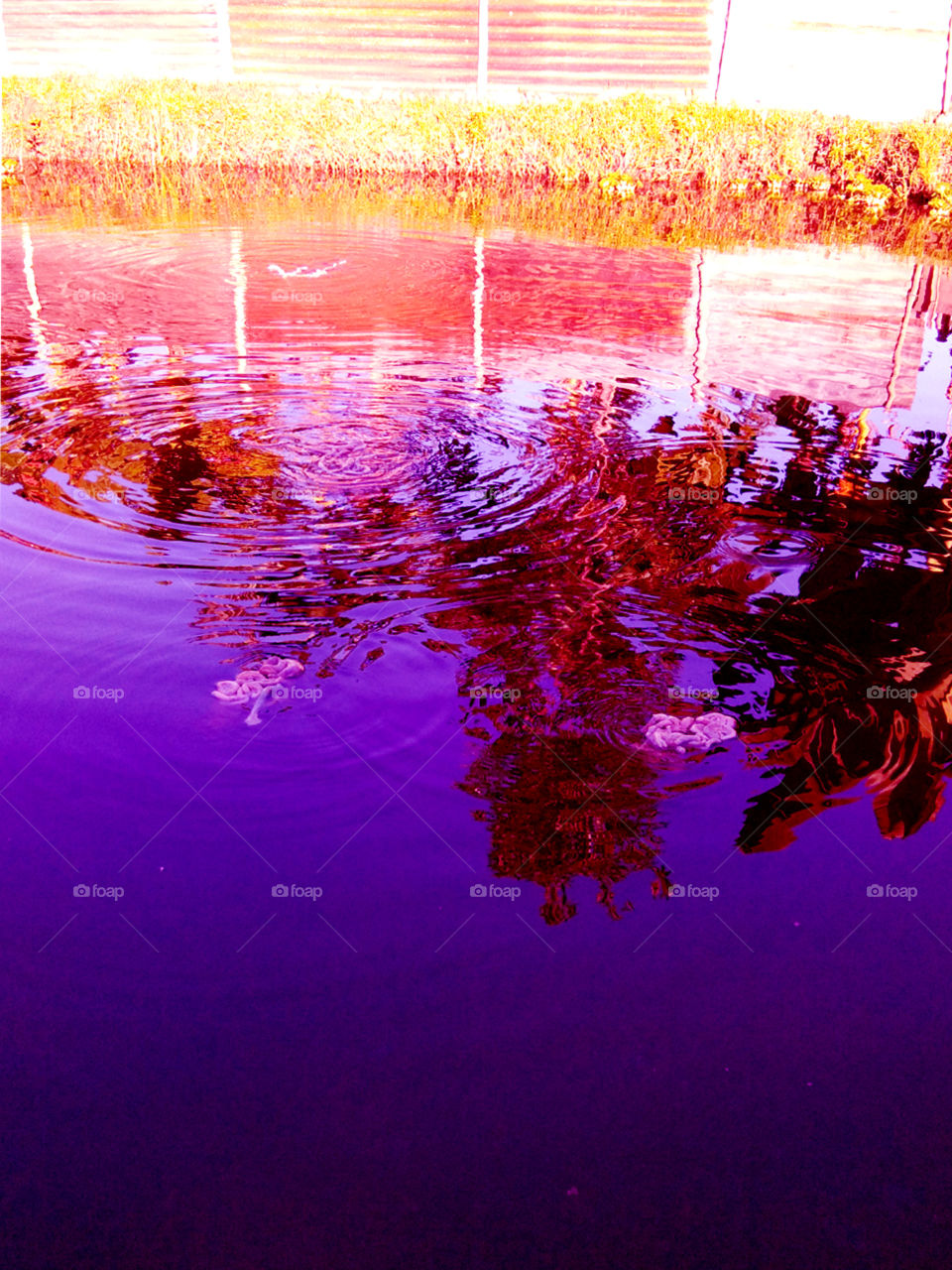 colourful water drop