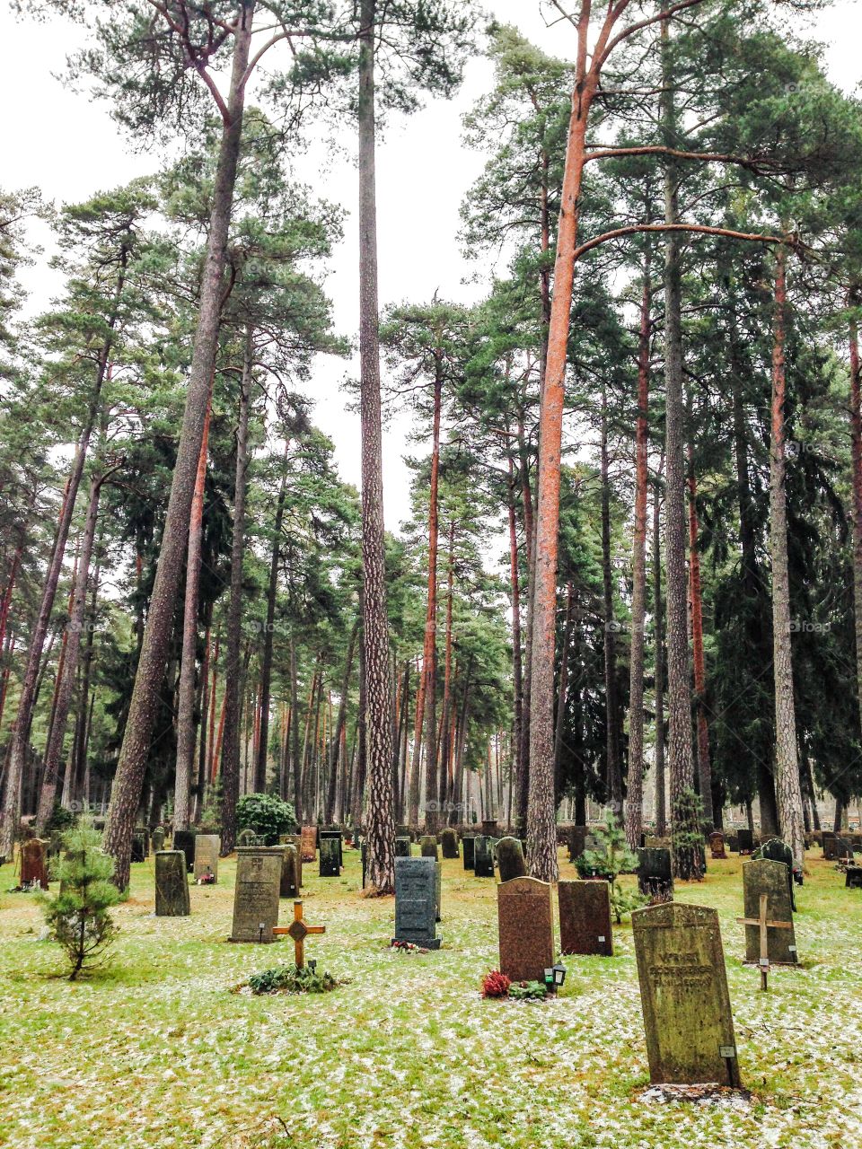 skogskyrkogården cemetery