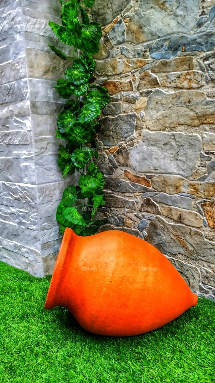 Pitcher on green grass