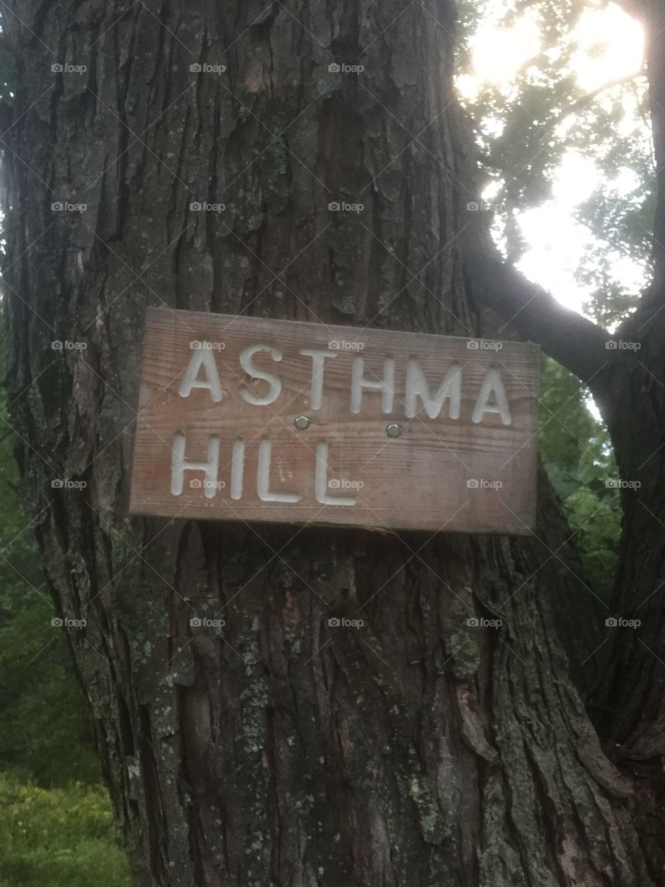 Funny sign on hiking trail in Delafield, WI