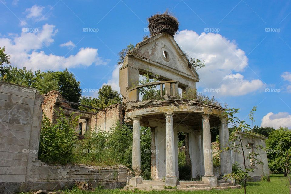 Abandoned palace. Columns and socket on the pediment.