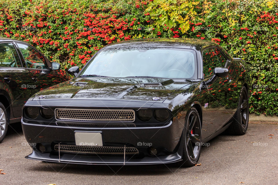 Dodge Challenger