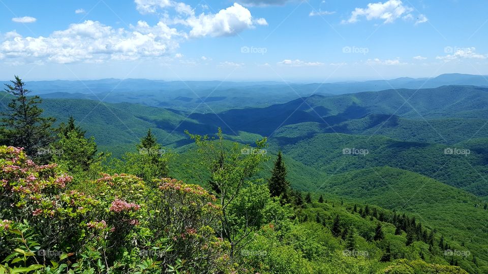 Blue Ridge Mountains, NC