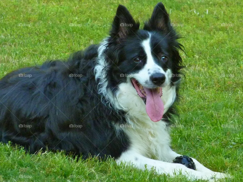 Maggie