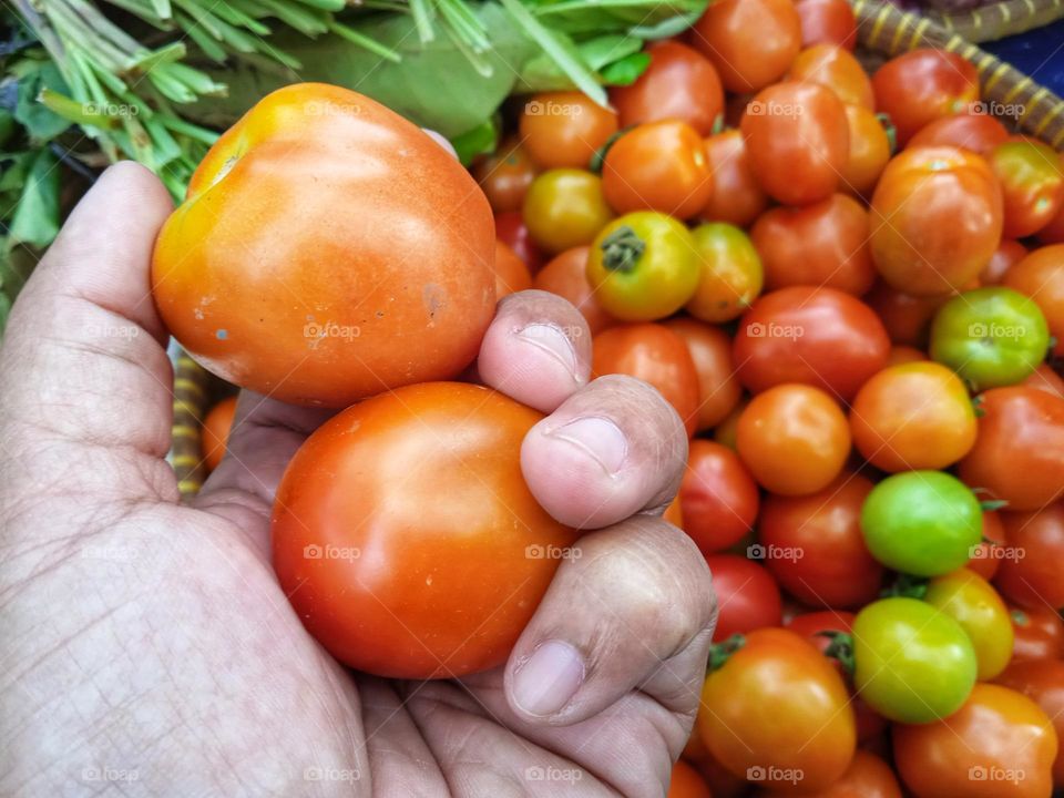 Holding tomato