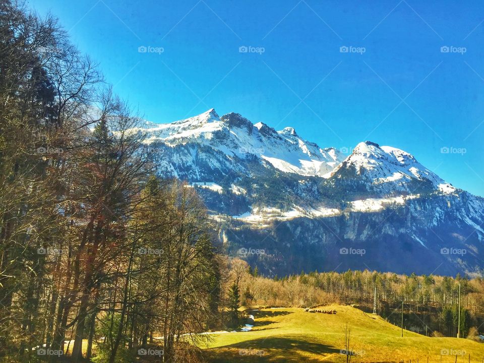 Snow capped mountain scenery