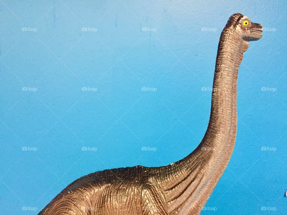 A brachiosaurus toy against a blue wall. 