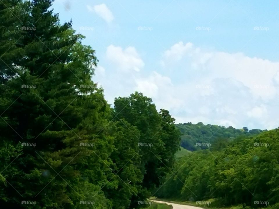 Driving the Back Roads and enjoying everything around us