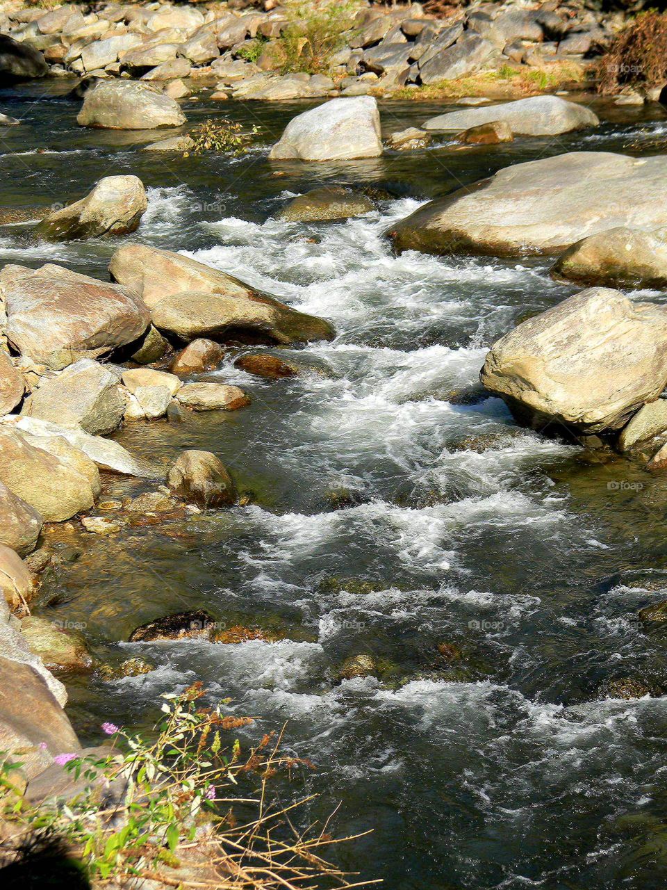 Rocky Broad River. Western North Carolina